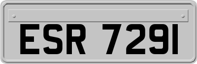 ESR7291
