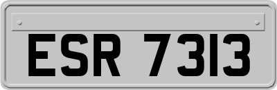 ESR7313