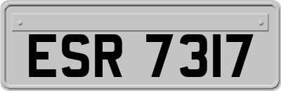 ESR7317