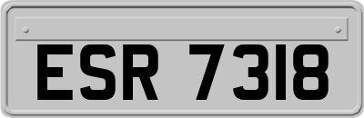 ESR7318