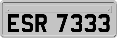 ESR7333