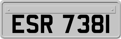 ESR7381