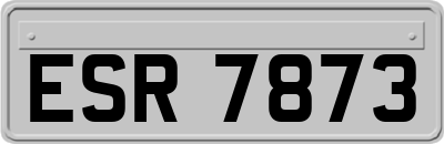 ESR7873