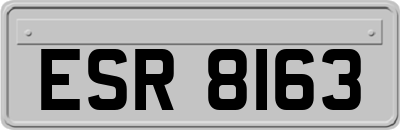 ESR8163
