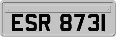 ESR8731