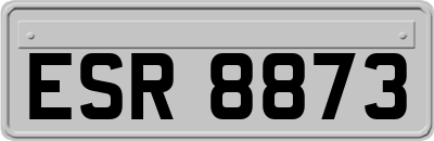 ESR8873
