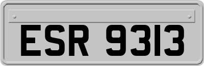 ESR9313
