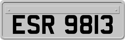 ESR9813