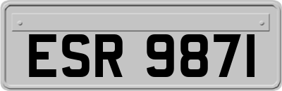 ESR9871