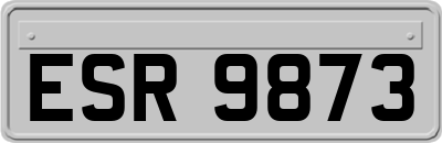 ESR9873