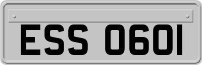 ESS0601