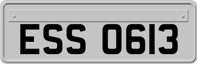 ESS0613