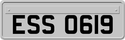 ESS0619