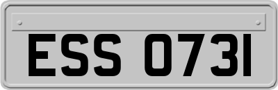 ESS0731