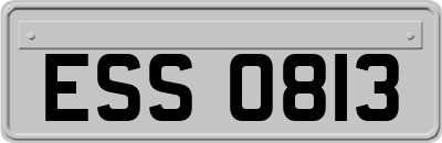 ESS0813