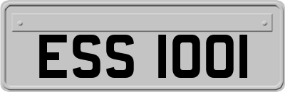 ESS1001