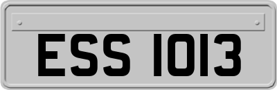 ESS1013