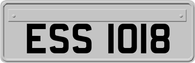 ESS1018