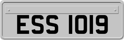 ESS1019