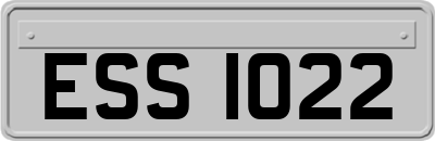 ESS1022