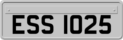 ESS1025