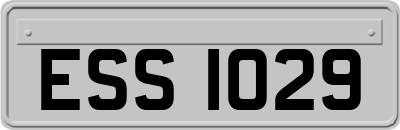 ESS1029