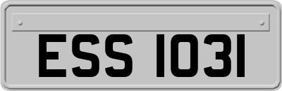 ESS1031