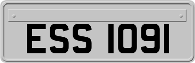 ESS1091