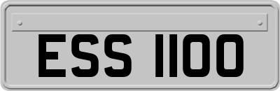 ESS1100