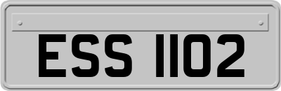 ESS1102