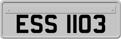 ESS1103