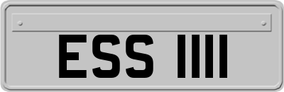 ESS1111