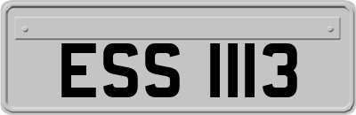 ESS1113