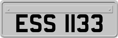 ESS1133