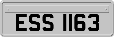 ESS1163