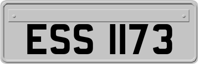ESS1173