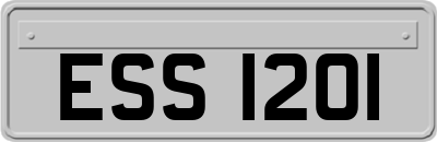 ESS1201