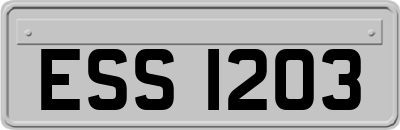ESS1203