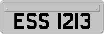 ESS1213