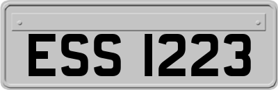 ESS1223