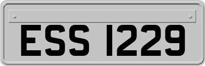ESS1229