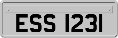 ESS1231