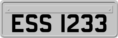 ESS1233