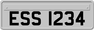 ESS1234