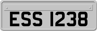 ESS1238