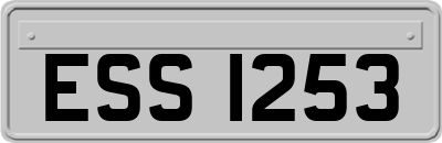 ESS1253