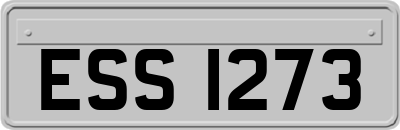 ESS1273
