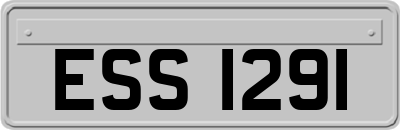 ESS1291