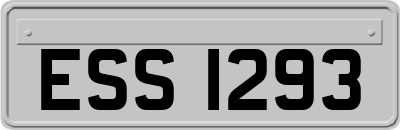 ESS1293