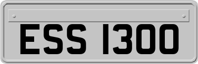 ESS1300